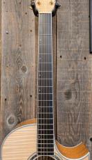 Morris TC-16 NAT 【L.R.Baggs Element搭載】_6