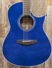 Morris TC-16 SBU 【L.R.Baggs Element搭載】