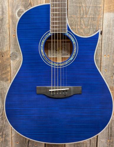 Morris TC-16 SBU 【L.R.Baggs Element搭載】
