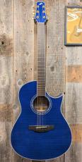Morris TC-16 SBU 【L.R.Baggs Element搭載】_2
