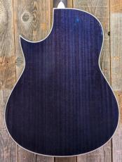 Morris TC-16 SBU 【L.R.Baggs Element搭載】_3