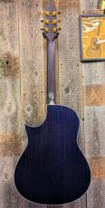 Morris TC-16 SBU 【L.R.Baggs Element搭載】_4