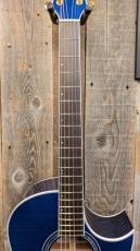 Morris TC-16 SBU 【L.R.Baggs Element搭載】_6