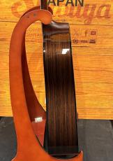Headway 【深いブルーカラー】The Eagle/STD Type D B-GRD【柾目ローズウッドの深い箱鳴り】_10