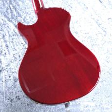 Paul Reed Smith [PRS] 【個性派モデル!!】S2 Starla w/Bigsby ~Vintage Cherry~ 2019年製【3.55kg】3F_5