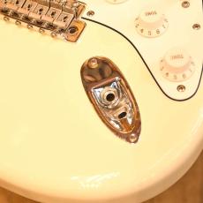 Fender MEX Albert Hammond Jr Stratocaster_4