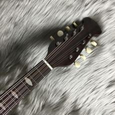VINACCIA 1925/S/M【1925年製・オールドマンドリン】_3
