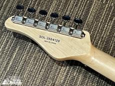 SCHECTER OL-PT-P90/WHT/R【限定モデル!】_5