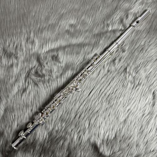 Altus A12RE/OFFSET