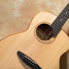 aNueNue aNN-L100E【お取り寄せ商品】_5