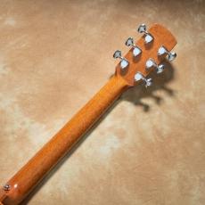 aNueNue aNN-L100E【お取り寄せ商品】_10