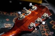 Gretsch 6119 Tennessean_4