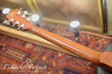 Burny HR-85 REBIRTH Modified (Natural)_8
