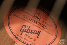 Gibson J-50 2006_6