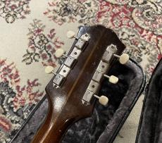 Epiphone E422T  Century NY PU (1959年製) 【48回無金利分割】【御茶ノ水駅前店】_9