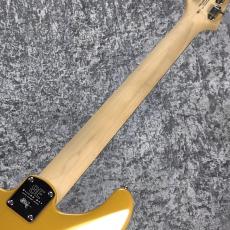 Paul Reed Smith [PRS] SE SILVER SKY Limited Colors ~Gold Spark~ #CTI H077801 [3.10kg][2025年製][軽量個体]_8