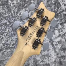 Paul Reed Smith [PRS] SE SILVER SKY Limited Colors ~Gold Spark~ #CTI H077801 [3.10kg][2025年製][軽量個体]_9