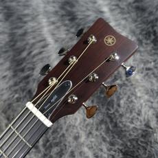 YAMAHA FSX5 Gloss【B級特価品】_5