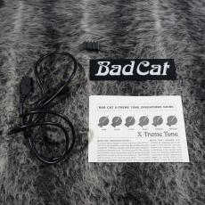 Bad Cat X-Treme Tone_7