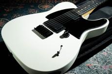 Fender Jim Root Telecaster / 2012