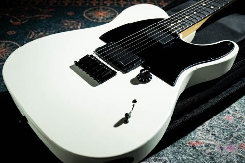 Fender Jim Root Telecaster / 2012