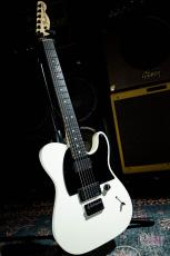 Fender Jim Root Telecaster / 2012_2