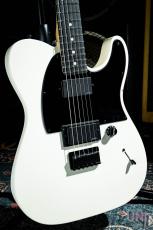 Fender Jim Root Telecaster / 2012_3