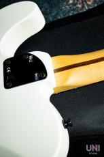 Fender Jim Root Telecaster / 2012_9