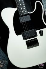 Fender Jim Root Telecaster / 2012_11