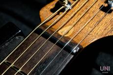 Fender Acoustasonic Player Jazzmaster / 2022_10