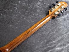 Bizen Works 5th Anniversary Grain BRW Limited Brazilian Rosewood Top Brazilian Rosewood Neck Natural Gloss_9