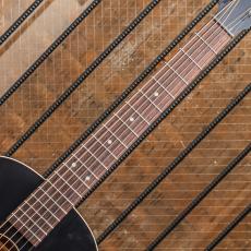 Waterloo by Collings WL-14X Jet Black_7