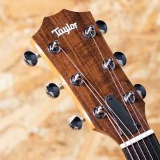 Taylor 14ce_8