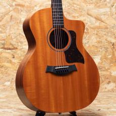 Taylor 24ce