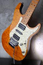 Suhr Standard Trans Honey Amber H-S-H