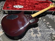 EVH EVH Wolfgang Hard Tail Sunburst_6