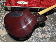 EVH EVH Wolfgang Hard Tail Sunburst_7