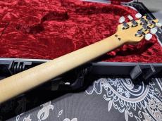 EVH EVH Wolfgang Hard Tail Sunburst_8