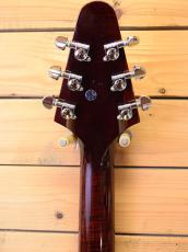 Gibson Les Paul Music City Special/Wine Red_4