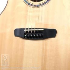 Dowina ACERO-GACE-DS_12