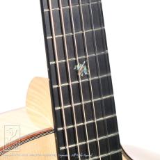 Dowina ACERO-GACE-DS_14