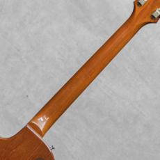 Gibson Les Paul Standard Gold Top / 1969_8