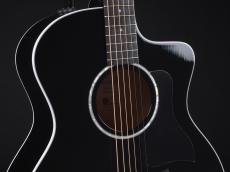 Taylor 214ce-BLK Plus ~Black~【在庫入れ替え特価品!】_4