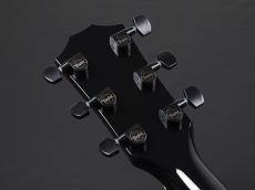 Taylor 214ce-BLK Plus ~Black~【在庫入れ替え特価品!】_9