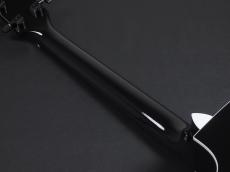 Taylor 214ce-BLK Plus ~Black~【在庫入れ替え特価品!】_10