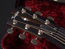 Taylor 317e V-Class ~Natural~_3