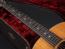 Taylor 317e V-Class ~Natural~_8