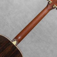 Taylor GS8 / 2007_8