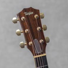 Taylor GS8 / 2007_9