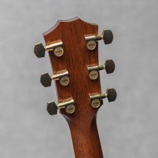 Taylor GS8 / 2007_10